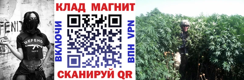 A PVP Щёкино