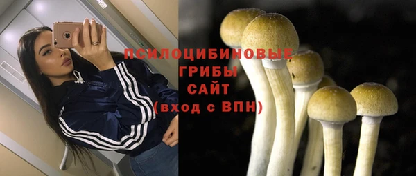 Альфа ПВП Абаза