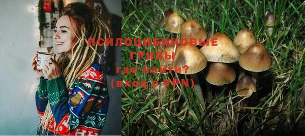 Альфа ПВП Абаза