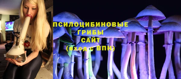 Альфа ПВП Абаза