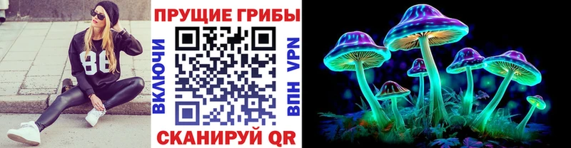 Псилоцибиновые грибы MAGIC MUSHROOMS  Щёкино 